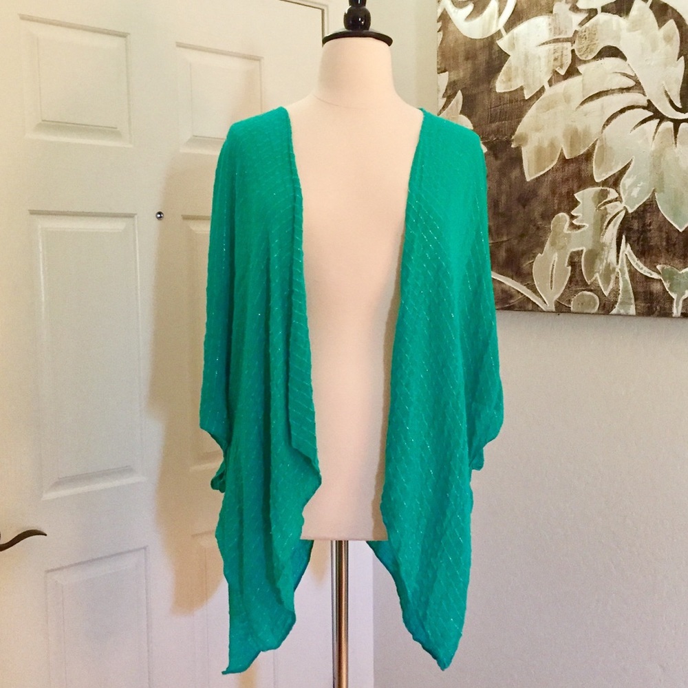 COPY - Lane Bryant Plus Size Fits All Blue/Green Cardigan